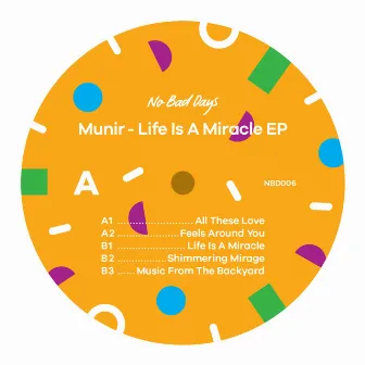 Life Is a Miracle by Munir