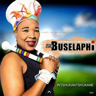 Intshukantshukane by DR BUSELAPHI