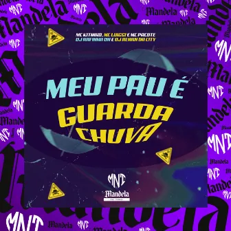 Meu Pau É Guarda Chuva by DJ RENAN DA CITY