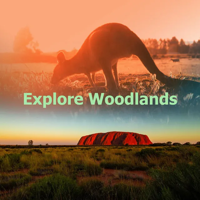 Explore Woodlands