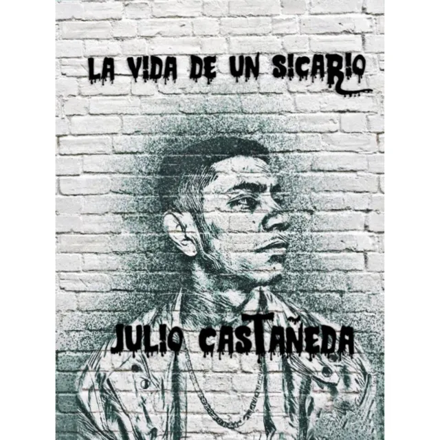 La Vida de Un Sicario