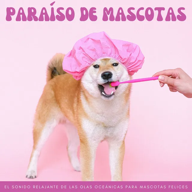 Brisa Del Océano De La Mascota