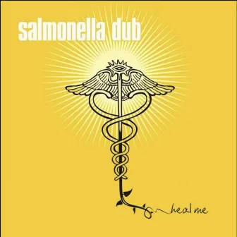 Heal Me by Salmonella Dub