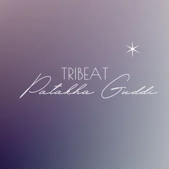 Patakha Guddi by Tribeat