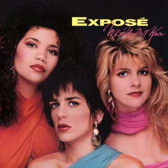 What You Don't Know (Expanded Edition) by Exposé