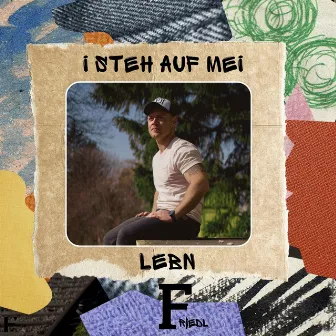 I steh auf mei Lebn by Friedl