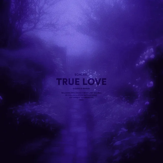 true love (slowed + reverb)