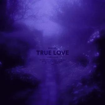 true love (slowed + reverb) by Echoes_