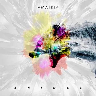 Animal by Amatria