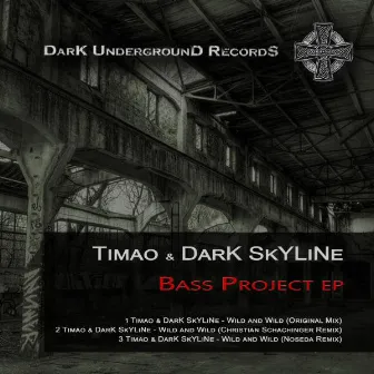 Bass Project EP by Dark Skyline