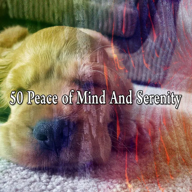 50 Peace of Mind And Serenity