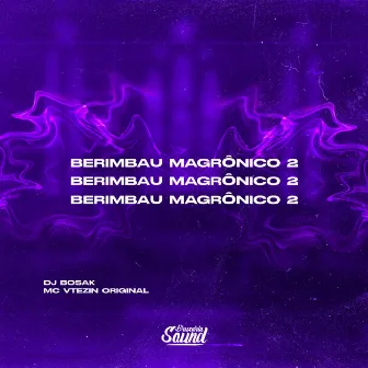 Berimbau Magrônico 2 by MC VTEZIN ORIGINAL