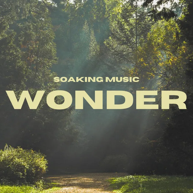 Wonder (Soaking Music)