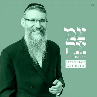 ניגון חסידי - צמח צדק (מתוך פרויקט צמאה) by צמאה