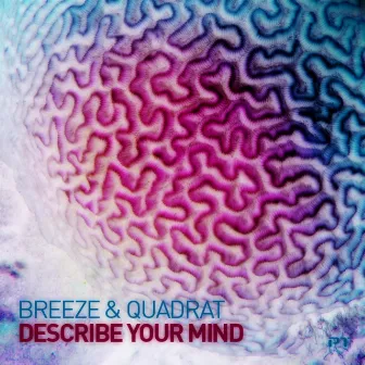 Describe Your Mind by Quadrat