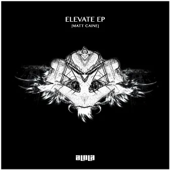 Elevate by Matt Caine