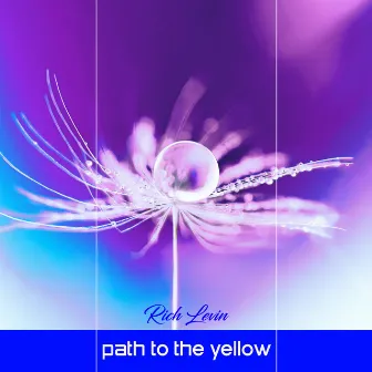 Path to the yellow star by Rich Levin