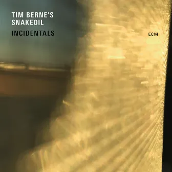 Incidentals by Tim Berne's Snakeoil