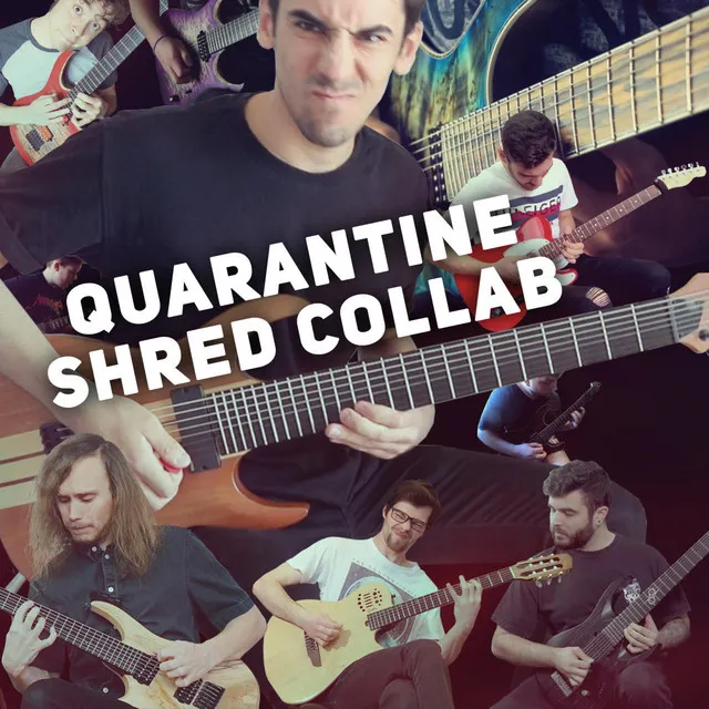 Quarantine Shred Collab