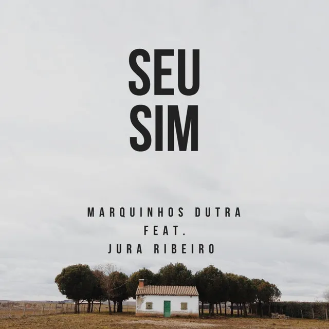 Seu Sim