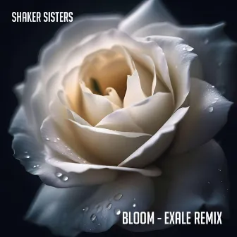 Bloom (Exale Remix) by Exale