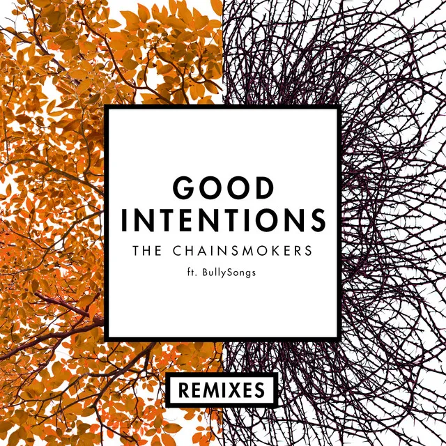 Good Intentions (Unlike Pluto Remix) (feat. BullySongs)