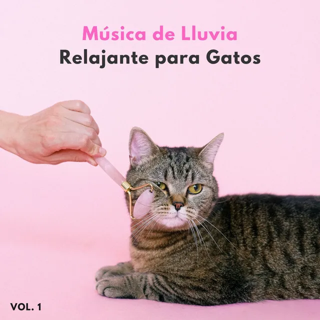 Música De Lluvia Relajante Para Gatos Vol. 1