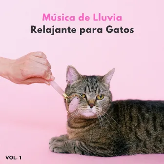 Música De Lluvia Relajante Para Gatos Vol. 1 by Lluvia - Lluvia de primavera