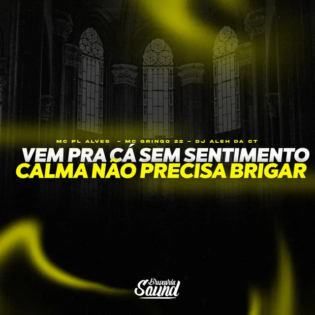 Vem pra Cá Sem Sentimento X Calma Não Precisa Brigar (feat. mc pl alves & MC Gringo 22)