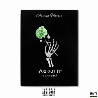 You Got It by Ariana Harris