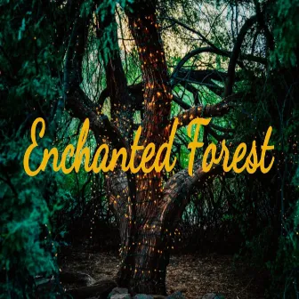 Enchanted Forest by MegaWasEjected