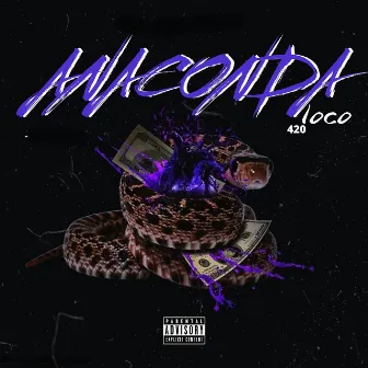 Anaconda by Loco 420