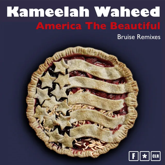 America the Beautiful (Bruise Remixes)