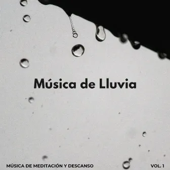 Música De Lluvia: Música De Meditación Y Descanso Vol. 1 by Club de música de meditación