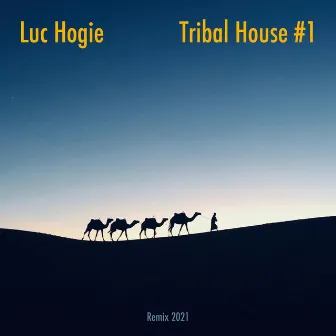 Tribal House #1 by Luc Hogie