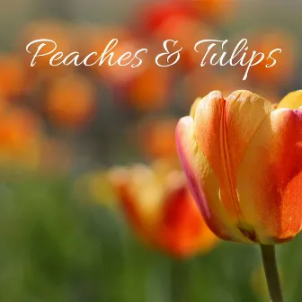 Peaches and Tulips by 