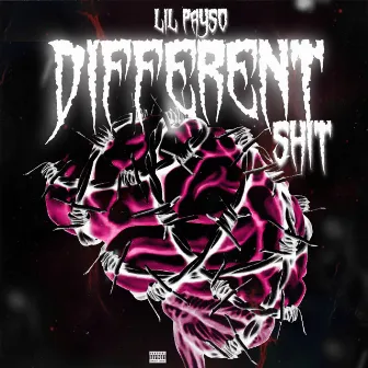 Different Shit by Lil Payso