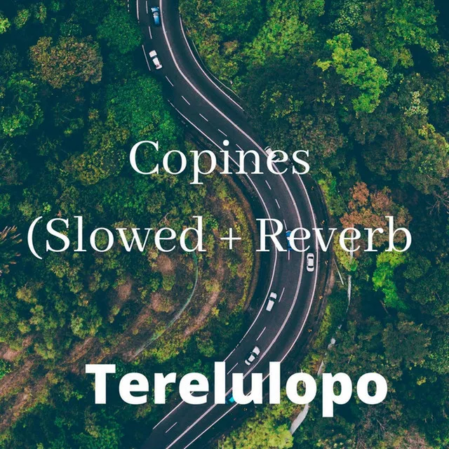 Copines (Slowed + Reverb)