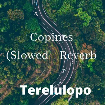 Copines (Slowed + Reverb) by Adorablereverb