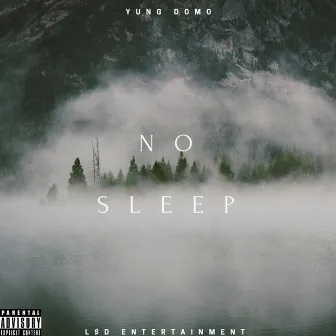 No Sleep by Yung Domo