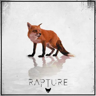 Rapture by Foxhunt