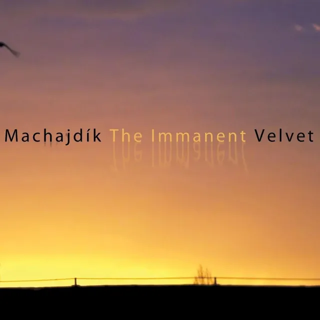 The Immanent Velvet