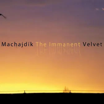 The Immanent Velvet by Peter Machajdik