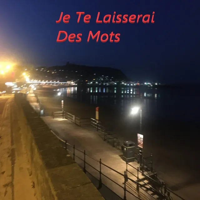 Je te laisserai des mots - Instrumental Version