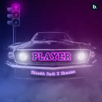 Player by SHEZAN