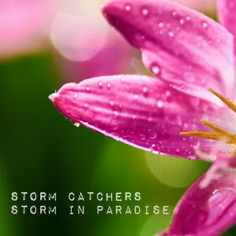 Storm in Paradise by Storm Catchers