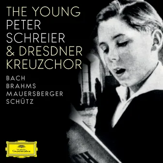 Bach; Brahms; Mauersberger; Schütz by Arnold Mendelssohn