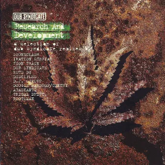 Research And Development by Dub Syndicate