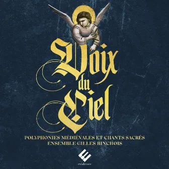 Voix du Ciel: Polyphonies médiévales et chants sacrés by Dominique Vellard