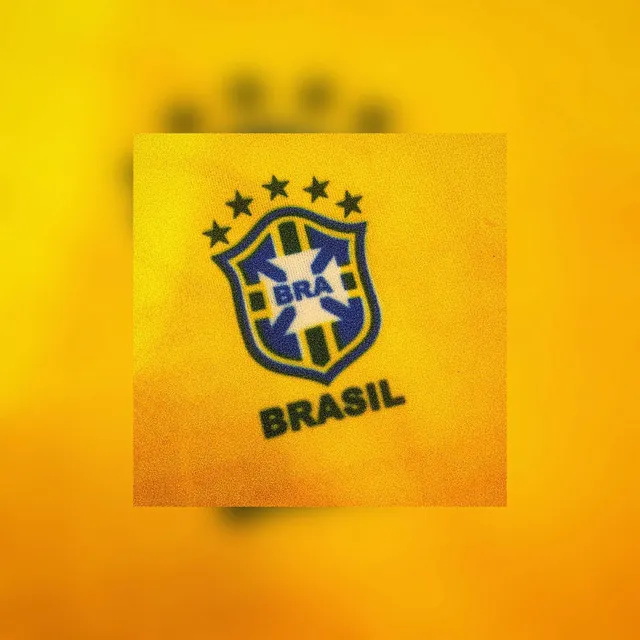 SELECÃO BRASILEIRA O BRASIL QUE VAI GANHAR A COPA DO MUNDO MUSICA DO BRASIL